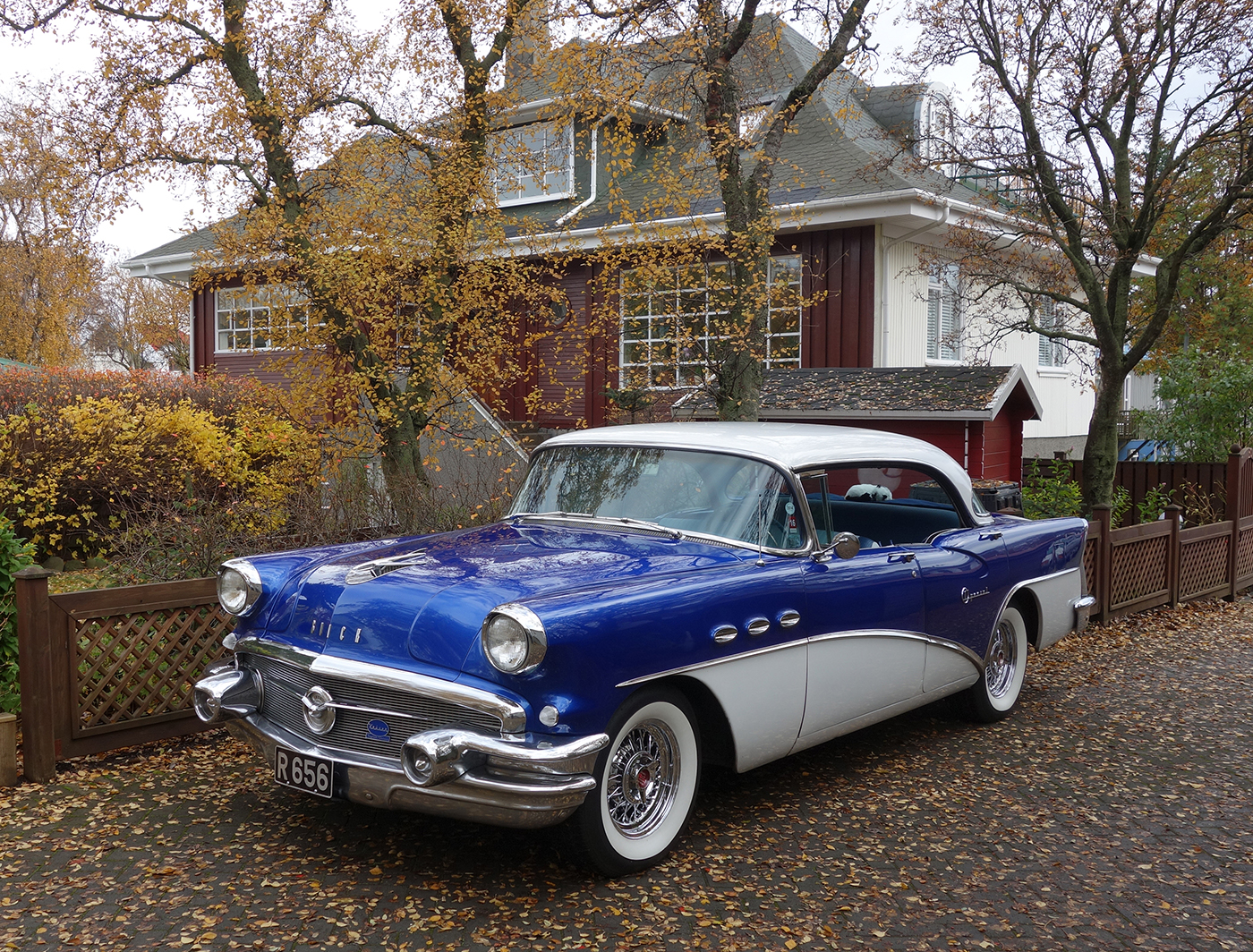 Tvílitt tímadjásn